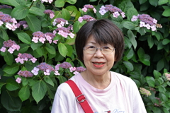 下田紫陽花祭り