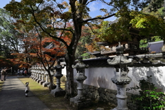 佛通寺