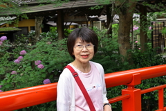 梅雨時期の旅行　竹林の小径