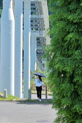坂道散歩