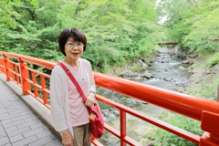 梅雨時期の旅行　竹林の小径