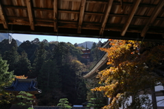 佛通寺