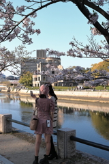桜を愛でる