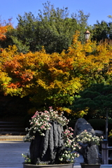 三景園