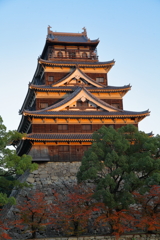 広島城の紅葉
