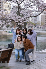 仲良く櫻をバックに記念写真
