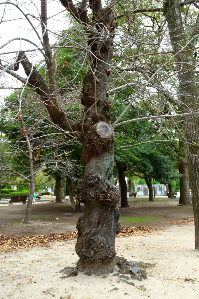 平和公園