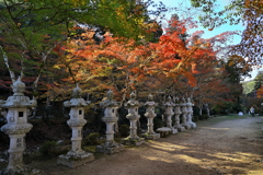 佛通寺