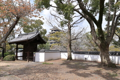 岡山城観光