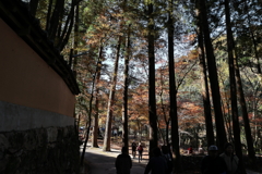 佛通寺