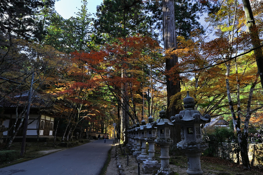 佛通寺