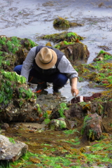 潮干狩り