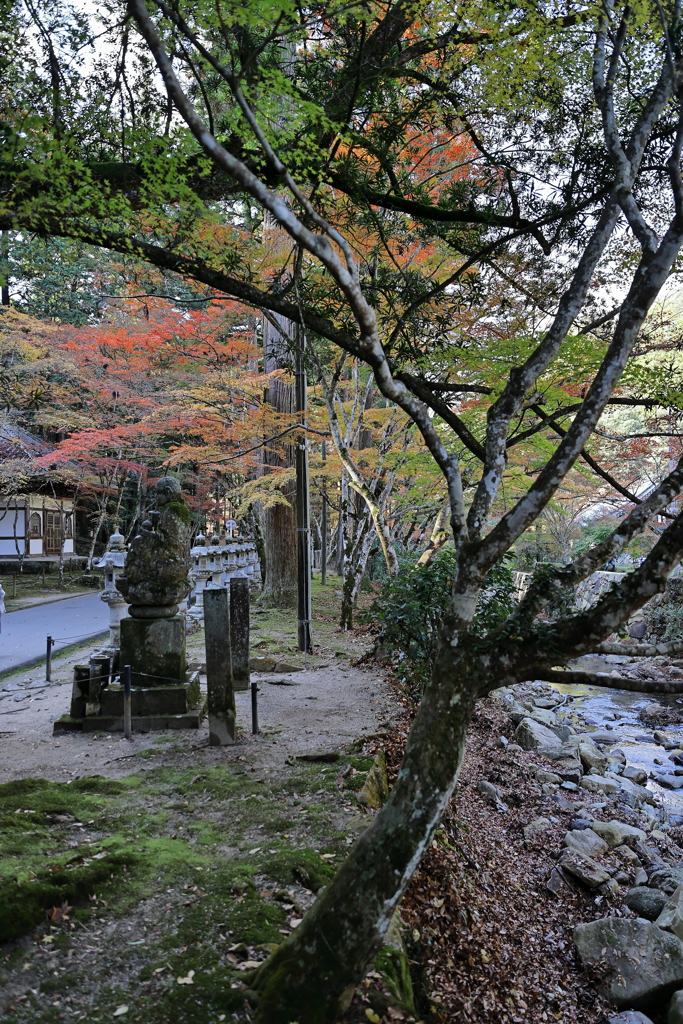 佛通寺