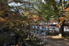 佛通寺