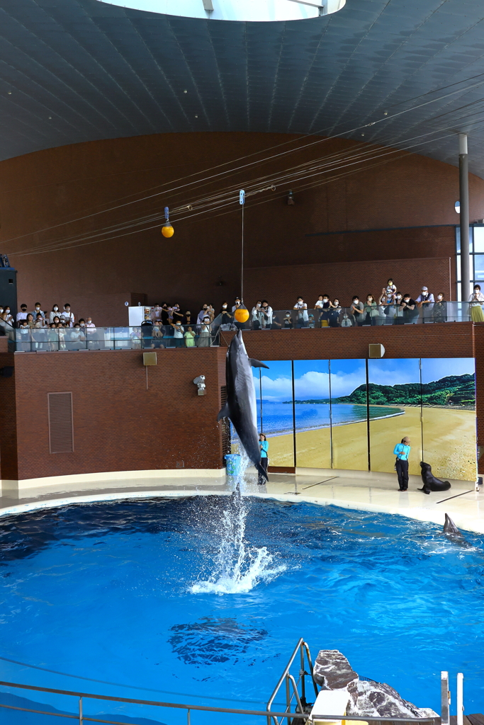 市立しものせき水族館　海響館