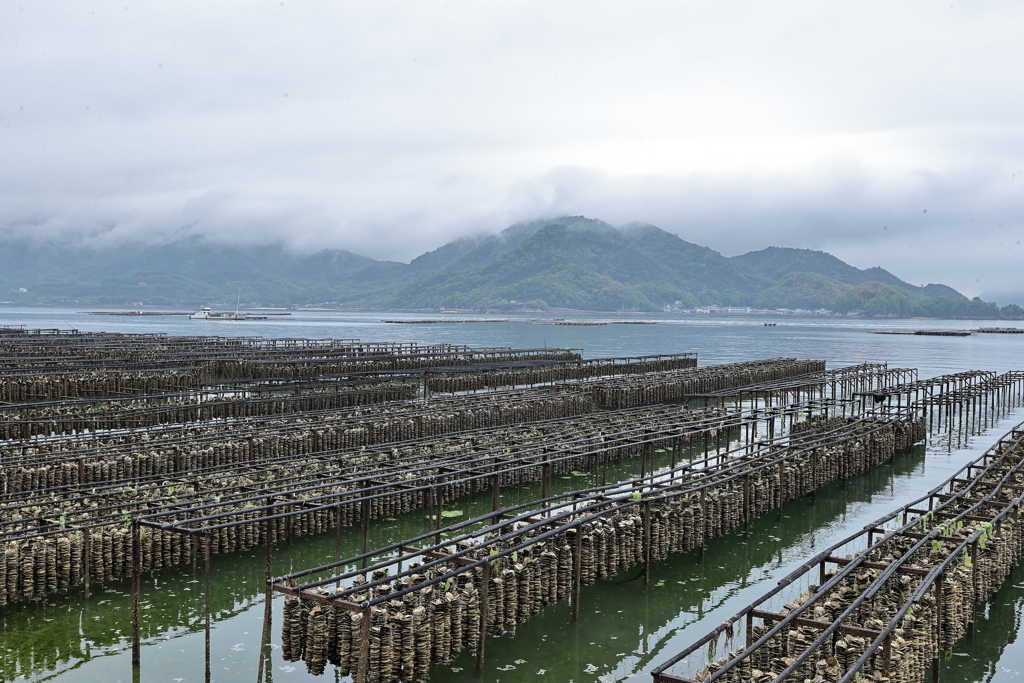 似島