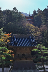 佛通寺