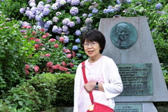 下田紫陽花祭り