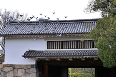 大阪城散策