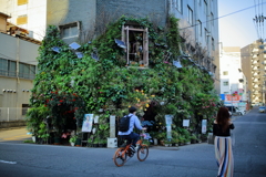 花屋