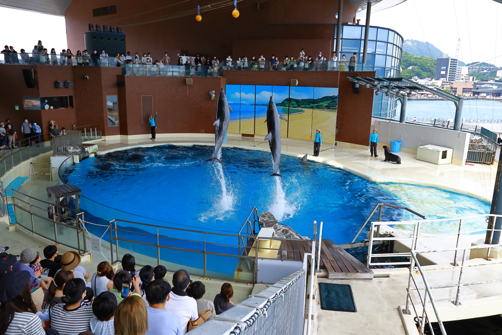 市立しものせき水族館　海響館