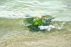 浜辺散策