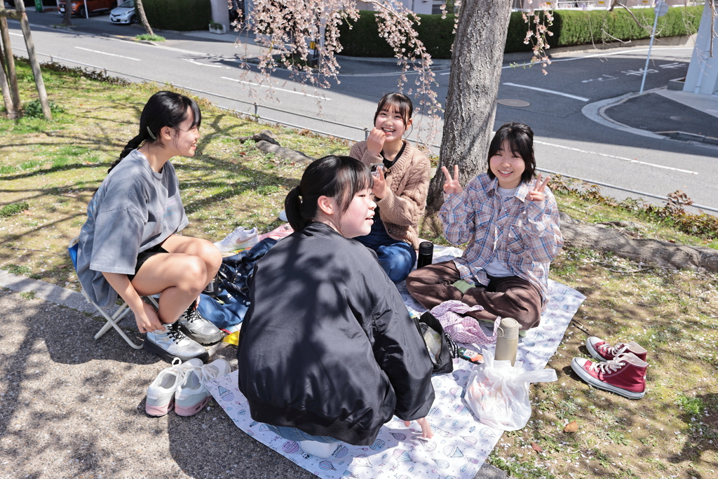 桜を愛でる