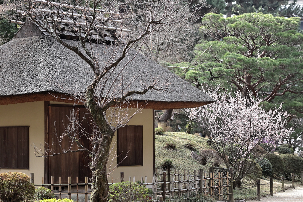 縮景園