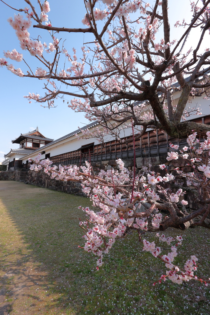 気楽に広島散策