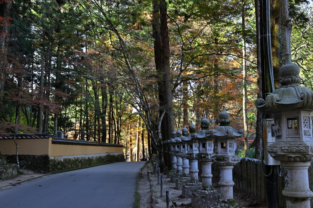 佛通寺