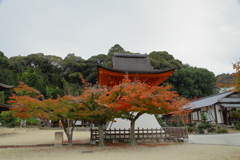不動院