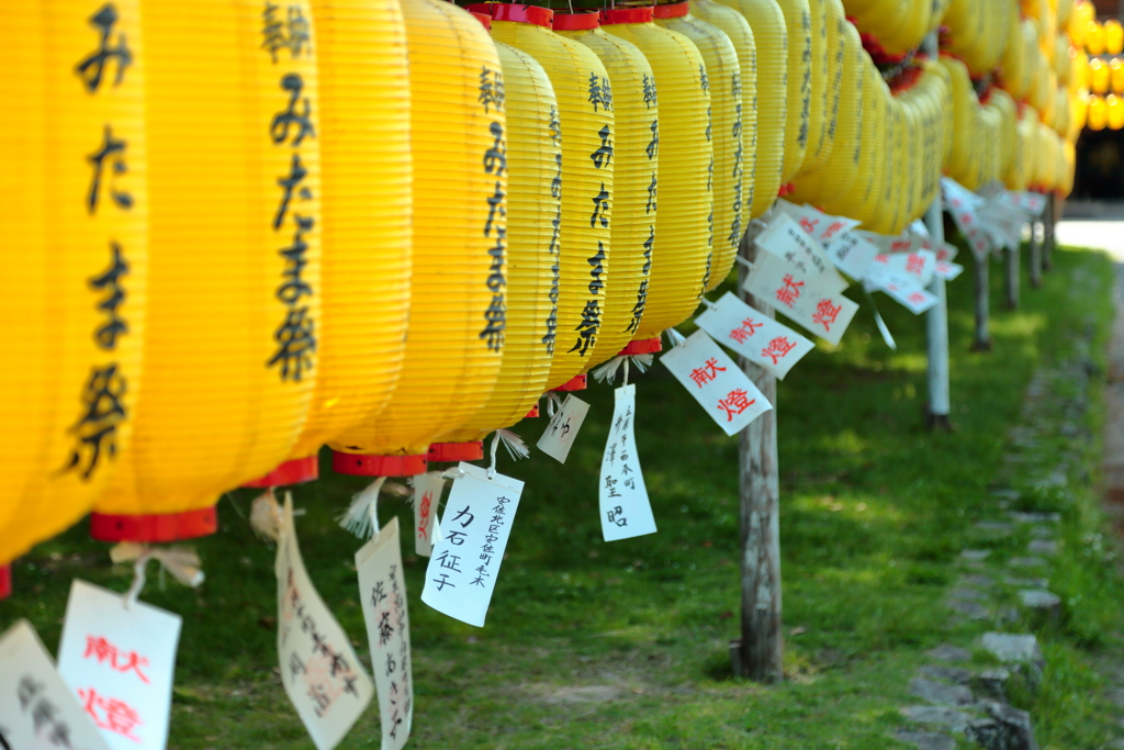 広島城址公園散策