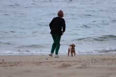 浜辺で犬と散歩