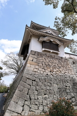 岡山城観光