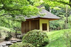 2023.06.12. 縮景園での出逢い