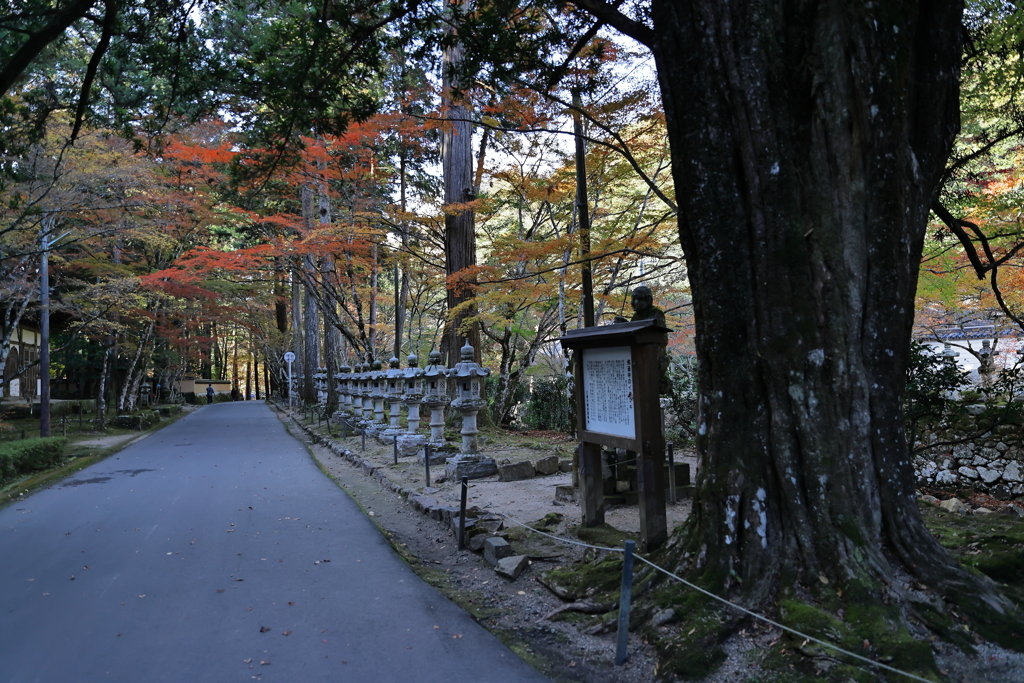 佛通寺