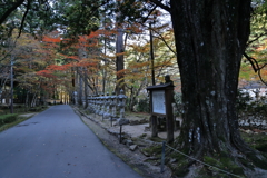 佛通寺
