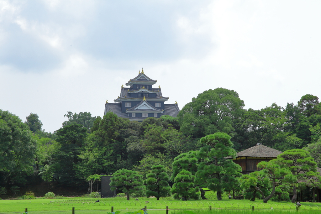 後楽園から眺める岡山城