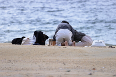 潮風を感じて浜辺で遊ぶ