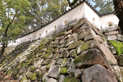 岡山城観光