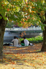 平和公園の紅葉