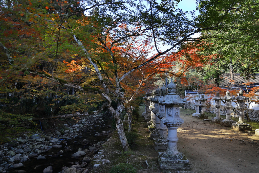 佛通寺