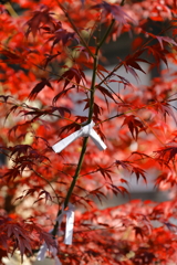 佛通寺