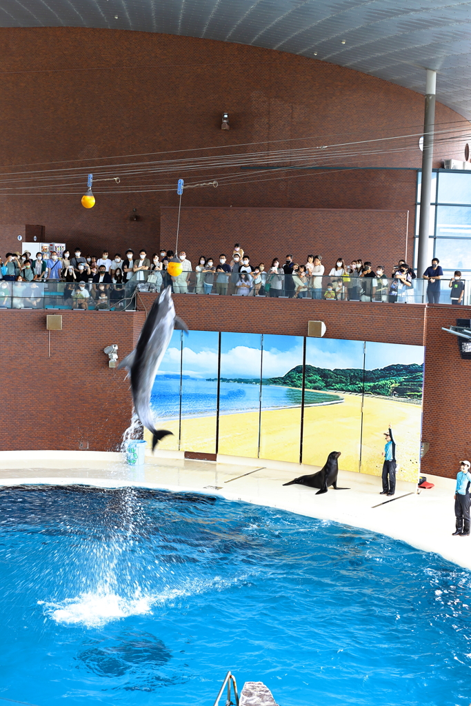 市立しものせき水族館　海響館