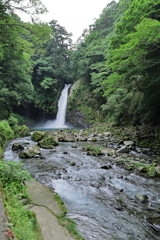 浄蓮の滝