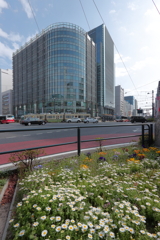 気楽に広島散策