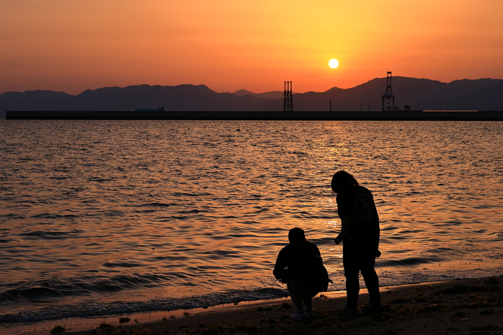 夕日を愛でる