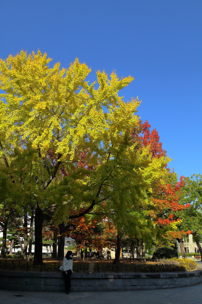 平和公園の紅葉