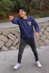 愉快な仲間