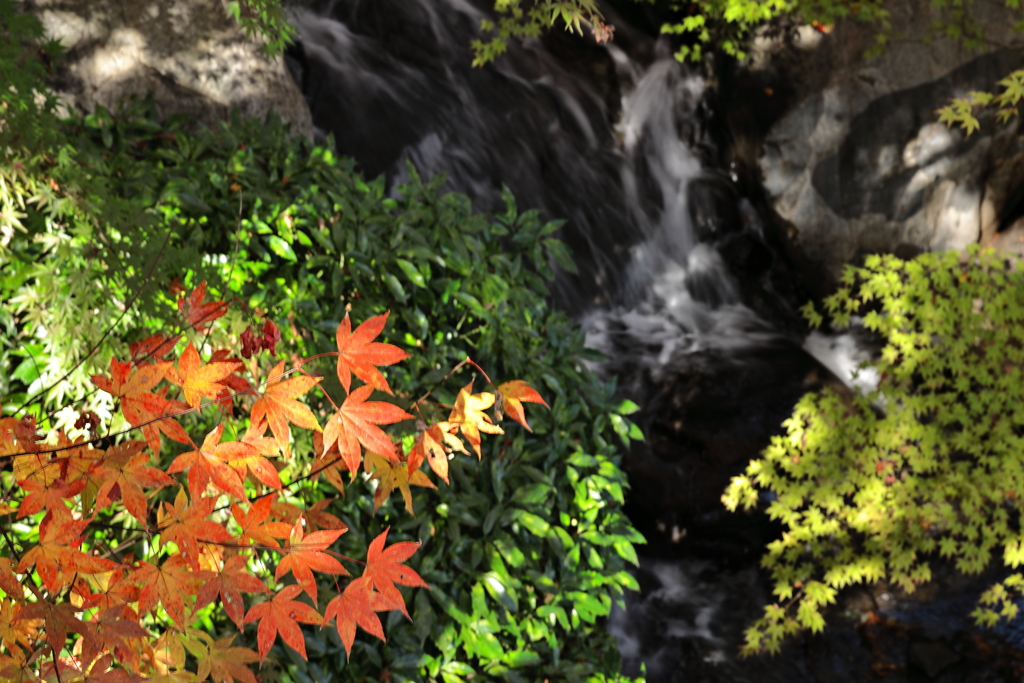 三景園